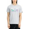 Alpha Industries Nebula T tričko pánske Pastel Grey Farba: šedá, Veľkosť: S