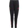 adidas | Liverpool FC Competition Training Pants 2025/26 Kids | čierna| XS(123-128cm)