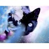 Gaira Diamantové maľovanie Mačička D0372
