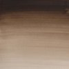 Winsor & Newton Akvarelové farby Cotman 21ml Sepia