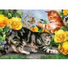 Royal Langnickel malování podle čísel Koťata na zahradě 40 x 30 cm