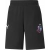 PUMA ŠORTKY PUMA CREATIVITY NEYMAR JR. 60556001 L