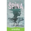 E-kniha Špína - Barbora Bernátová