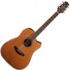Takamine GD20CE Natural Satin
