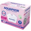 Aquaphor Maxfor+ Mg2+ B100-25 1 ks