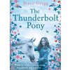 The Thunderbolt Pony (Gregg Stacy)
