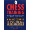 Chess Training for Post-Beginners