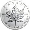 Royal Canadian Mint Strieborná minca Canadian Maple Leaf 1 oz (2013)