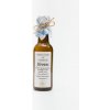 Sedmikráska bylinný extrakt Jírovec 250ml cévní soustava, antioxidant, klouby, menstruace a menopauza doplňek stravy