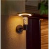 Immax 07907L NEO LITE BUBBLES Smart vonkajšie nástenné svietidlo LED D235mm 2W/140lm, čierna, RGB, IP54