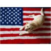 DRYBED Premium Vet Bed Americká vlajka 100 x 75 cm