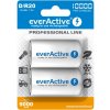 everActive 2x D / R20 Ni-MH 10000 mAh EVHRL20-10000