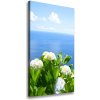 Vertikálny foto obraz na plátne Hortenzie more 50x100 cm