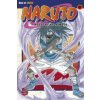 Naruto 27