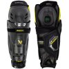 Holene Bauer Supreme MACH senior (Holene Bauer Supreme MACH senior)