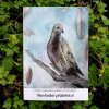 Lenka Zpodořechu: Nevšední přátelství | Marian Palla, ilustrace Vendula Chalánková