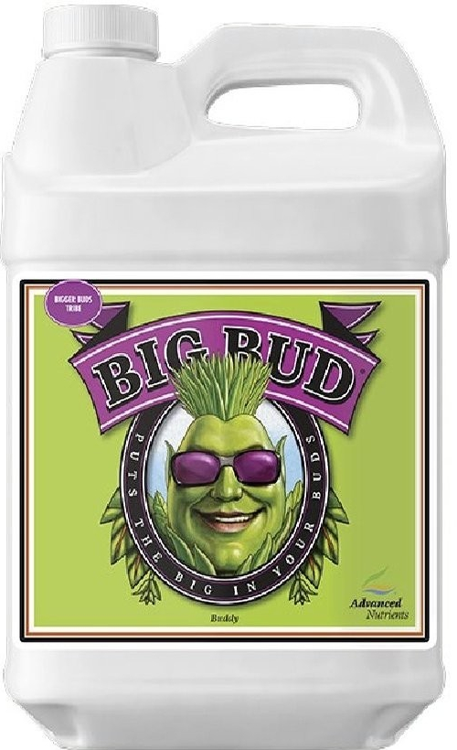 Advanced Nutrients Big Bud Coco Liquid 1l