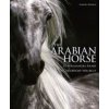 The Arabian Horse - autor neuvedený
