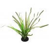 Repti Planet rastlina Spartina 30 cm