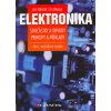 Elektronika - Jan Vobecký, Vít Záhlava