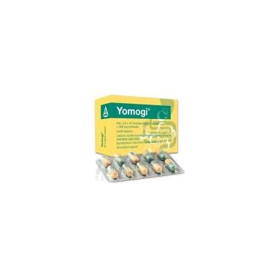 Ardeypharm GmbH Yomogi cps dur 250 mg (blis.PVC/PE/PVDC/Al) 1x20 ks