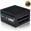 Evolveo 1000W CZE G 1000 R