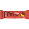 Bombus Raw Energy 50g LEN Kokos, Kakao (VÝPREDAJ)