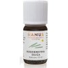 Hanus Silica Kosodrevinova ole 10 ml