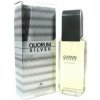 Antonio Puig Quorum Silver, EDT 100 ml