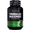 TRIBULUS Maximus 90 tabliet - Biotech USA