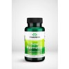 Swanson Saw Palmetto