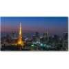 Foto obraz akrylový Veža v Tokio 100x50 cm