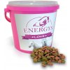 Energys Love jablečné pochúťky pre kone 2 kg
