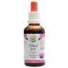 Salvia Paradise Maral Leuzea AF tinktura 50 ml