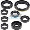Vertex Gufera sada (simerinky celý motor) Yamaha YZF250/01-13 + WRF250/01-14 + Gas-Gas EC250F