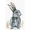ZUTY Maľovanie podľa čísel KRÁLIK SEDIACI NA POLI Rámovanie vypnuté plátno na rám Rozmer 80x100 cm