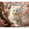 Norimpex Diamantová mozaika - Kočka v květinách
