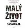 Malý život - Yanagihara Hanya