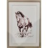 Kôň 3 v pasparte- Perokresba tušom - Vladimír Semančík S (do veľkosti 45x45cm) Viac farieb