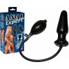 You2Toys Anal Expert