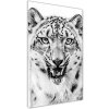 Vertikálny foto obraz akrylové sklo Snežná pantera 50x100 cm