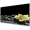 Obraz plexi Kvet kamene kuchyňa 100x50 cm