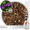 AMAZONSKÝ ČAJ Pasuchaca (40g)