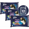 FELIX - Kapsičky FELIX Junior Fantastic, lahodný výber v želé 12 x 85 g