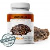 MycoMedica Coriolus 90 tabliet
