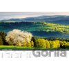 Šumava nástěnný Helma 2026