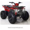 TaoTao Štvorkolka Tao Hunter 125ccm 8
