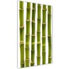 Vertikálny foto obraz fotografie na skle Bambus 50x100 cm