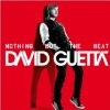 GUETTA, DAVID - NOTHING BUT THE BEAT (2VINYL)