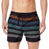 Reef EMEA VOLLEY Stripes